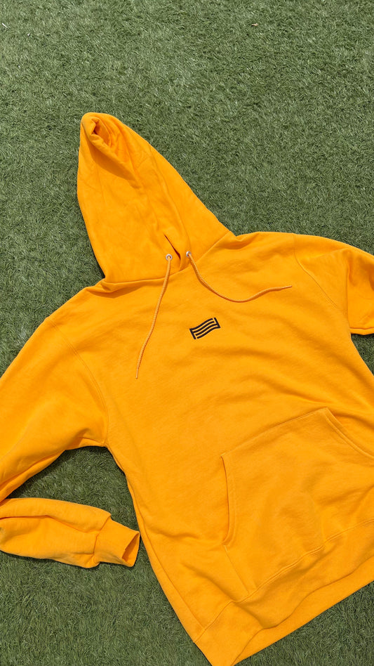 For Freedoms Classic Hoodie