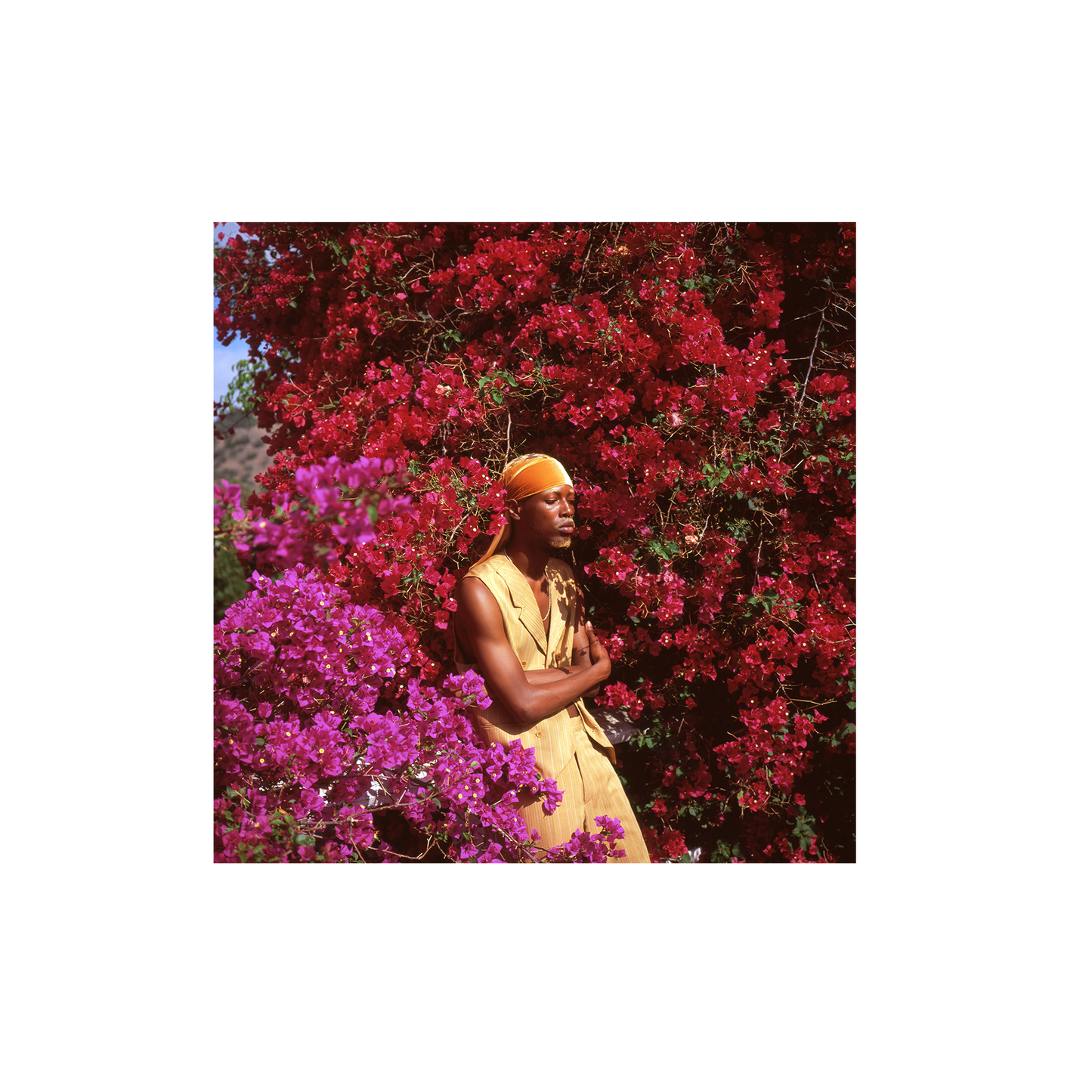 Eli in Pink Bougainvillea, 2021