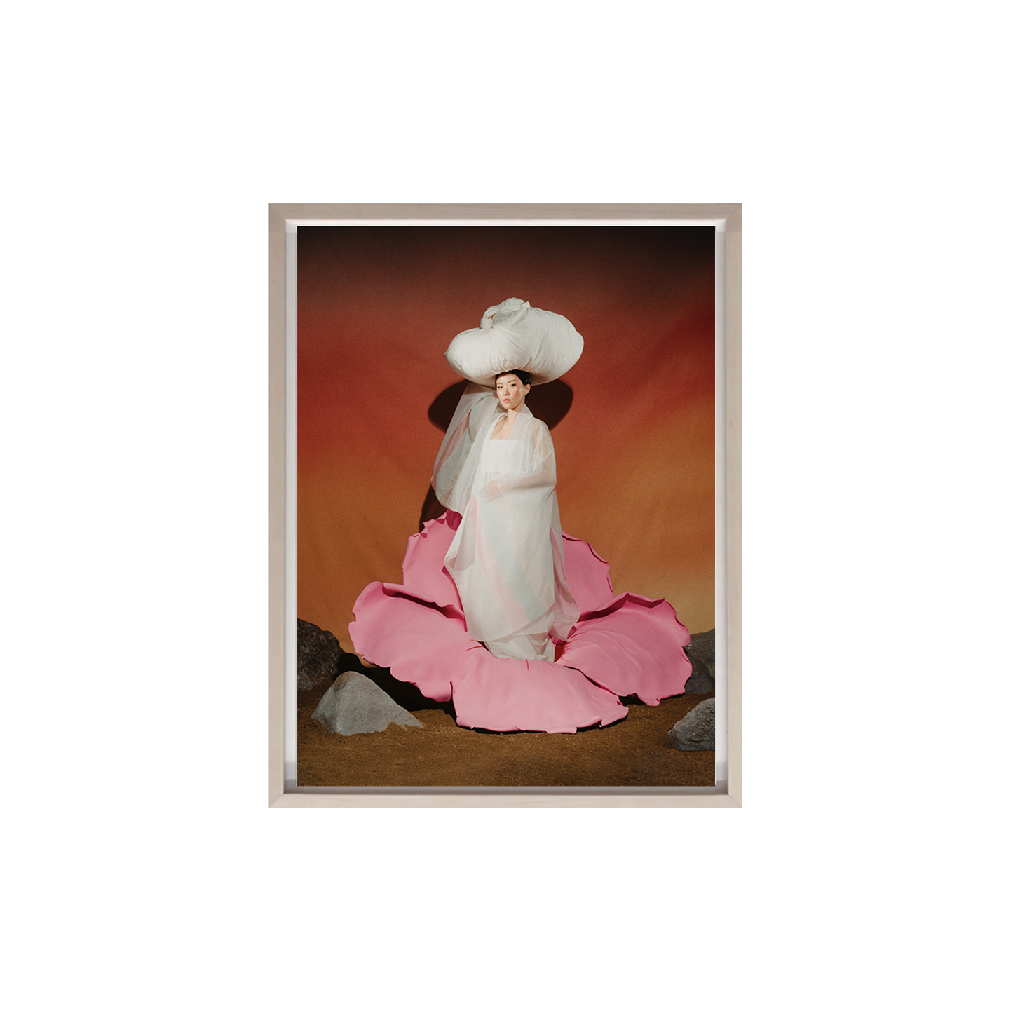 Rose of Sharon, 2023