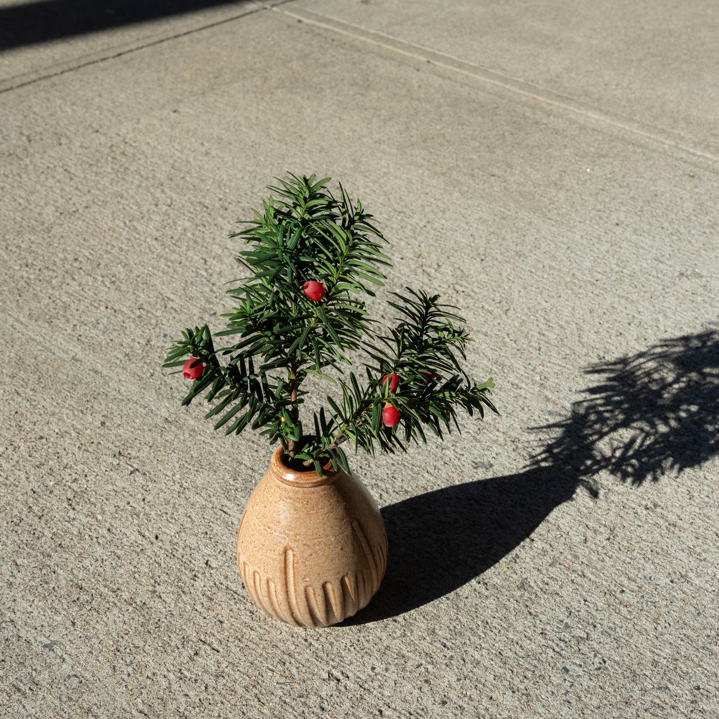 Bud Vase