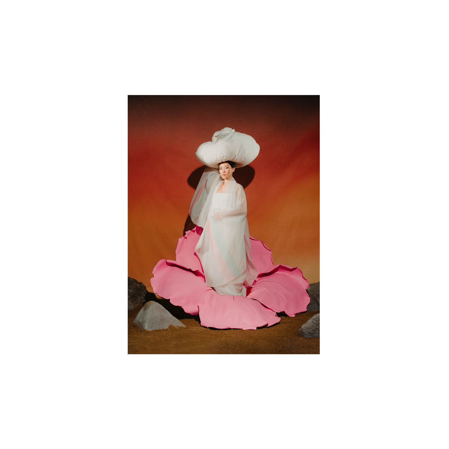 Rose of Sharon, 2023